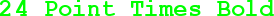 24 pt Times Bold text